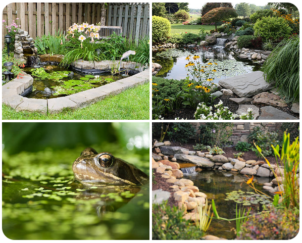 Modern reflections water garden with a rectangular mirror pond