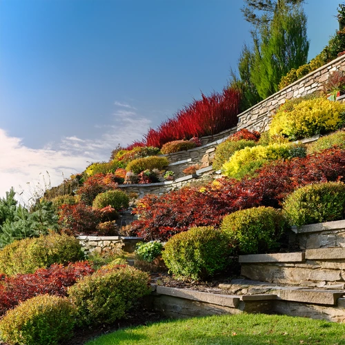 Terraced steep hill with stone retaining walls and lush plants