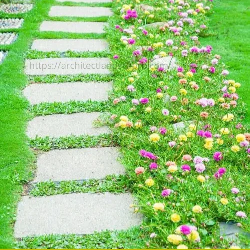 Top 10 Tough Walkable Ground Covers